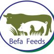 Befa Foods