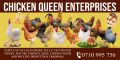 Chicken Queen Enterprises